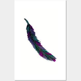 Purple and Turquoise Feather Posters and Art